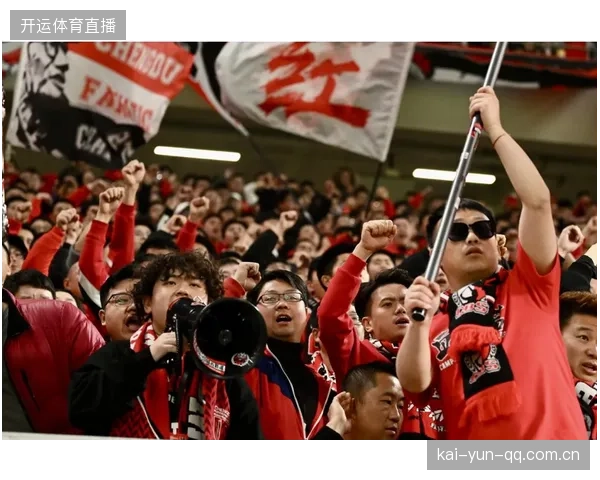 五队激战！中超亚军之战：激情燃烧的竞技场与梦想的碰撞